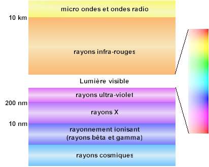 detail des ondes terrestres.jpg
