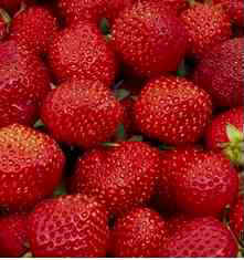 fraises